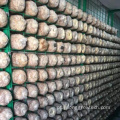 Estufas agrícolas de cogumelo de cogumelo filme de plástico verde casa